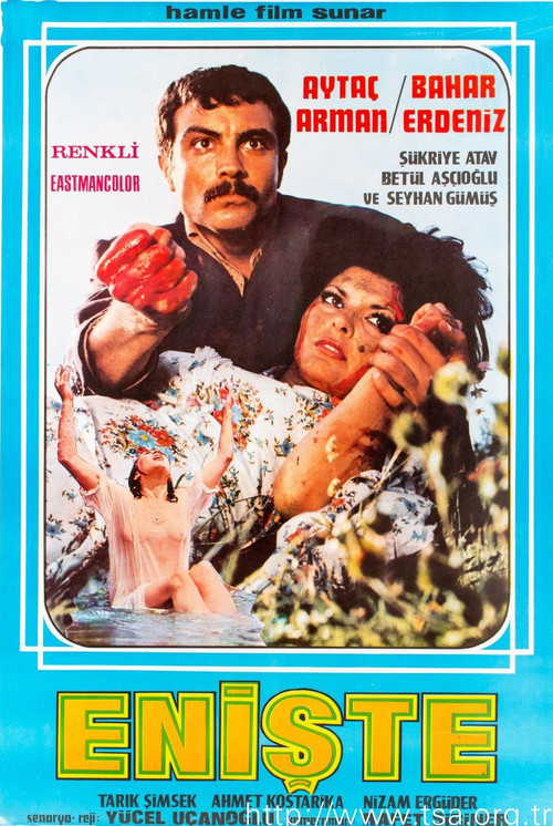 Movie poster for Enişte (1975)