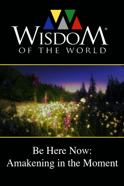 Movie poster for Be Here Now: Awakening In the Moment (2011)