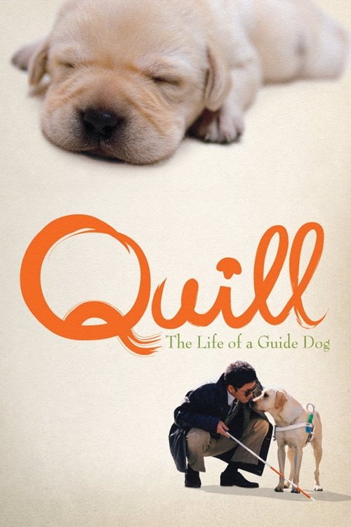 Movie poster for Quill: The Life of a Guide Dog (2004)