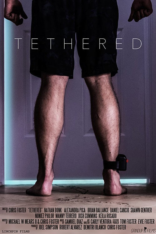 Movie poster for Tethered (2016)