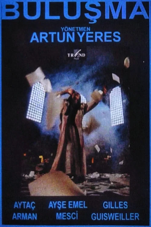 Movie poster for Buluşma (1994)