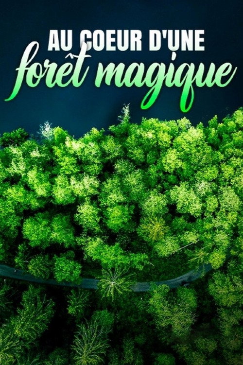 Movie poster for Au cœur d'une forêt magique (2023)