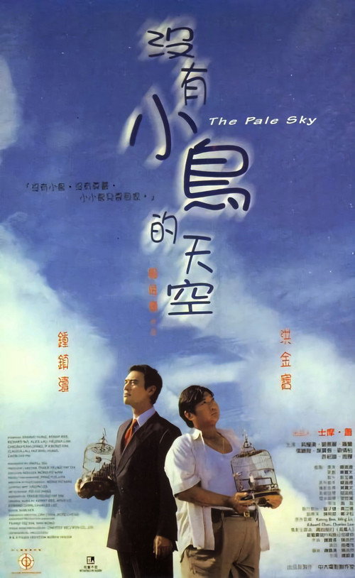 Movie poster for The Pale Sky (1998)