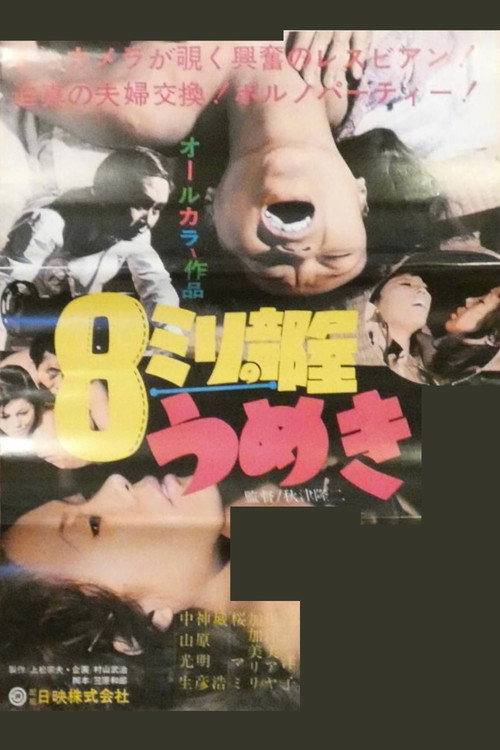 Movie poster for 8mm Room Moaning (1971)