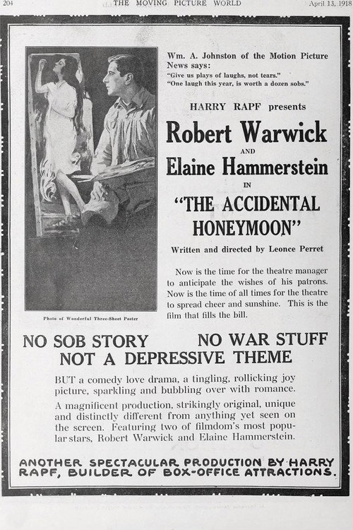 Movie poster for The Accidental Honeymoon (1918)