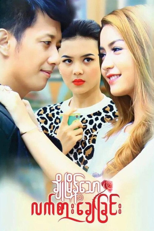 Movie poster for Cho Myain Thaw Let Sar Chay Chin (2017)