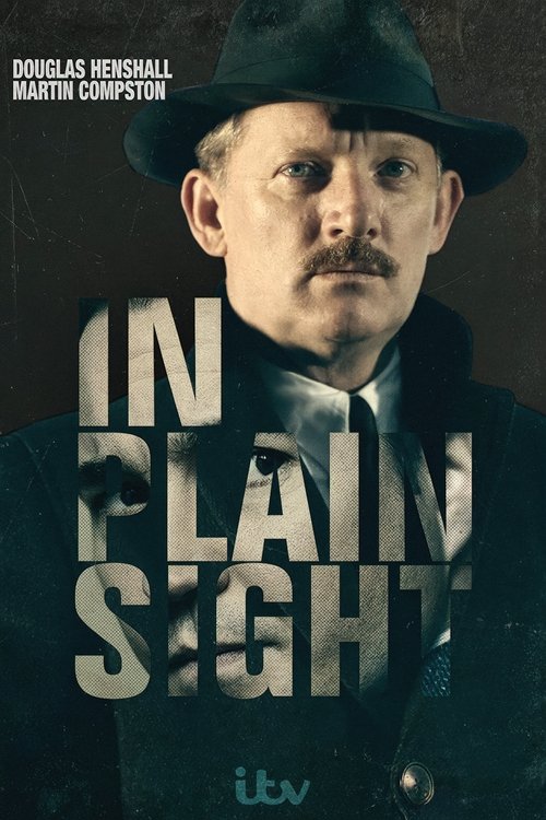 In Plain Sight poster
