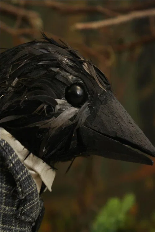 Movie poster for The Crow Who Wore A Suit And Worked In An Office (2011)