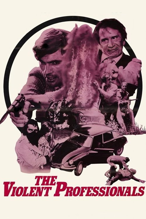 Movie poster for The Violent Professionals (1973)