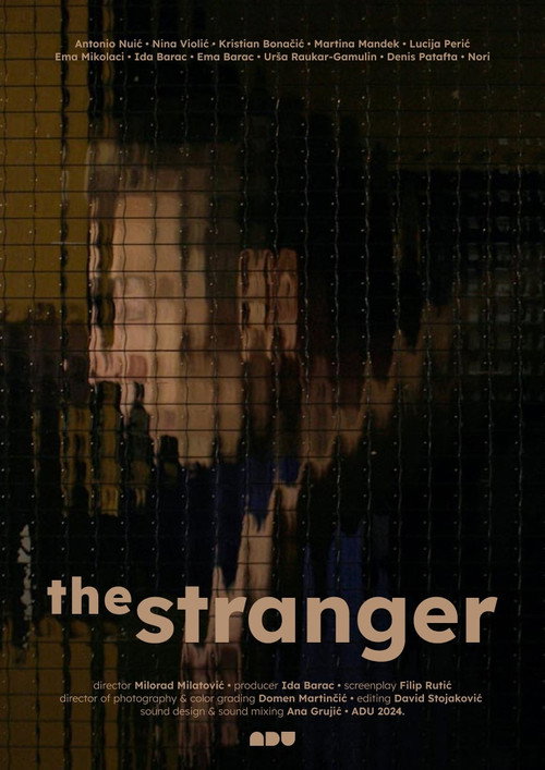 Movie poster for The Stranger (2024)