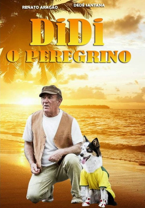 Movie poster for Didi the Pilgrim (2013)