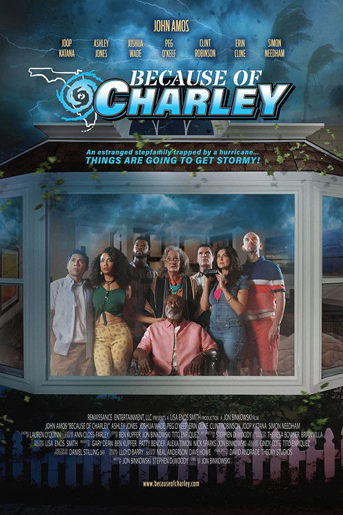 Movie poster for Because of Charley (2021)