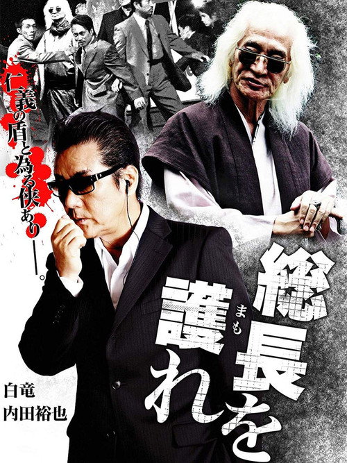 Movie poster for Protect the President (2010)