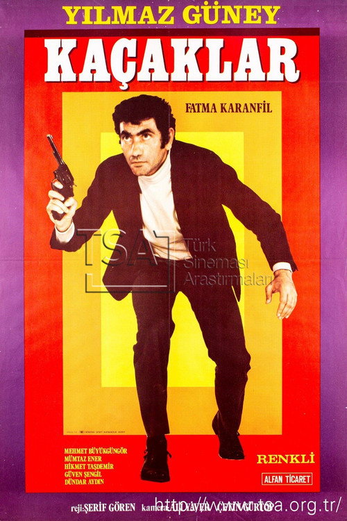 Movie poster for Fugitives (1971)