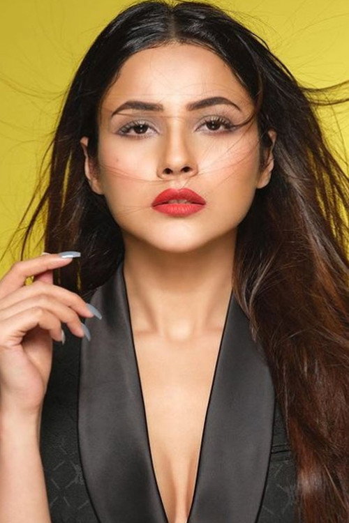 Photo of Shehnaaz Gill, Acting