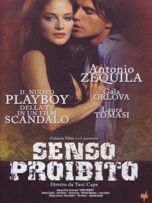 Movie poster for Senso proibito (1995)