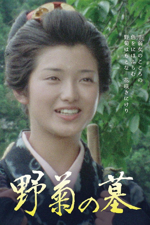 Movie poster for The Wild Daisy (1977)