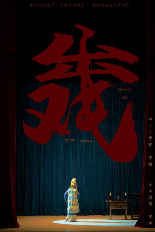 Movie poster for Drama Life (2022)
