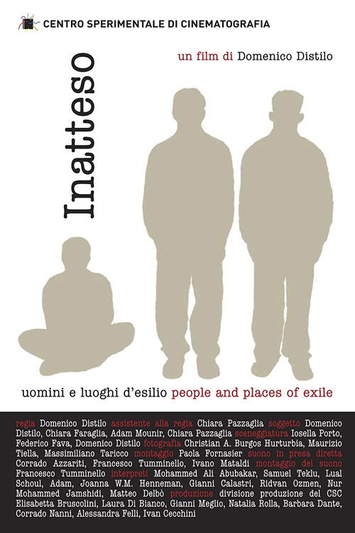Movie poster for Inatteso (2005)