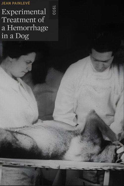Movie poster for Experimental Treatment of a Hemorrhage in a Dog (1930)