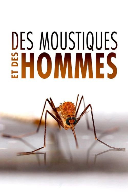 Movie poster for Des Moustiques et des Hommes (2022)