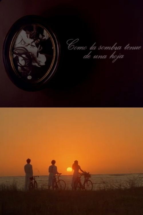 Movie poster for Como la sombra tenue de una hoja (1985)