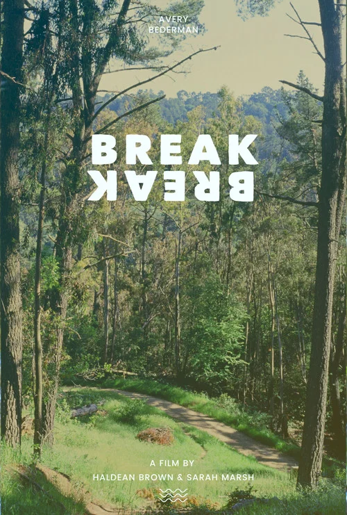 Movie poster for Break Break (2023)