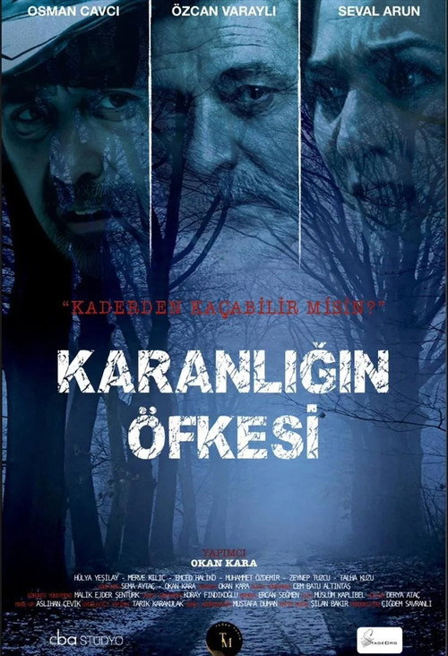 Movie poster for Karanlığın Öfkesi