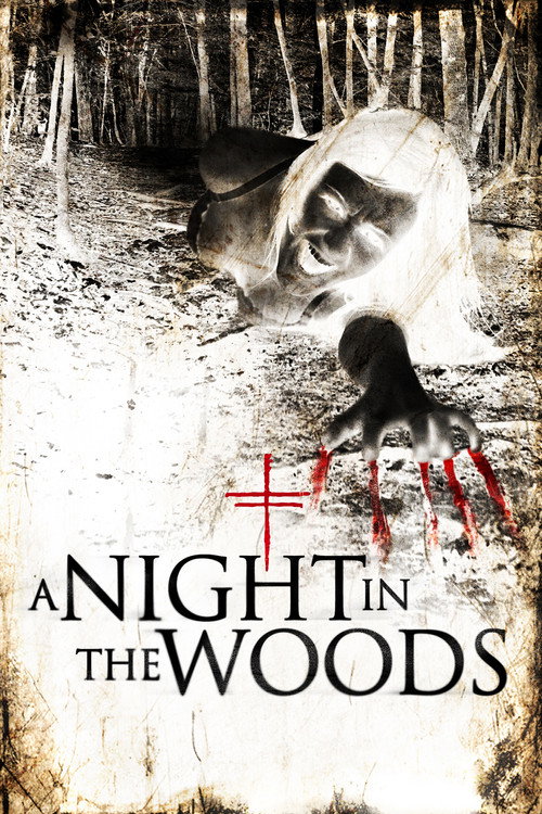 Movie poster for A Night in the Woods (2011)