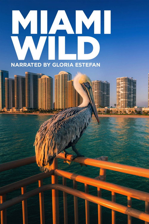 Movie poster for Miami Wild (2022)