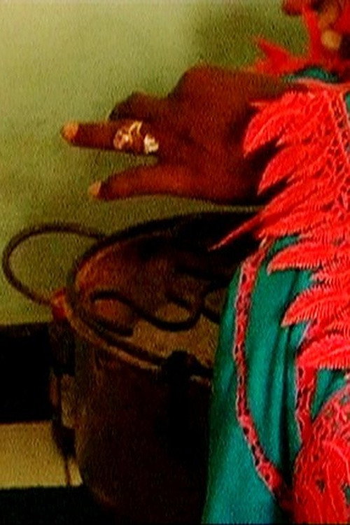 Movie poster for Les Sénégalaises et la Sénégauloise (2007)