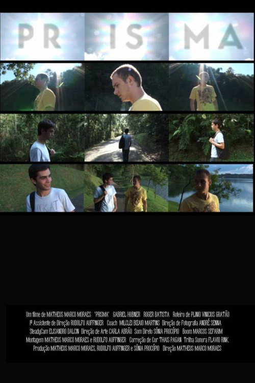 Movie poster for Prisma (2013)