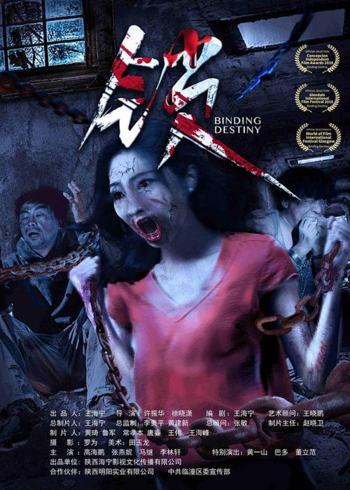 Movie poster for 锁 (2018)