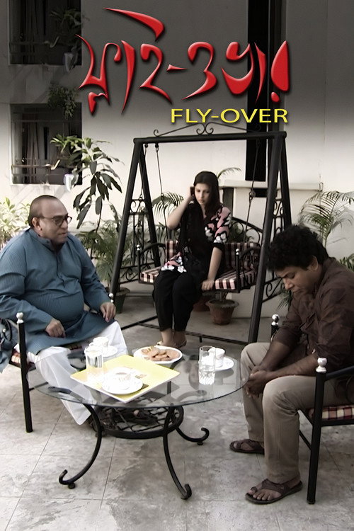 Movie poster for Flyover (2011)