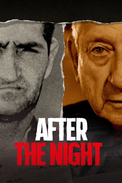 Series poster for After the Night (2020)