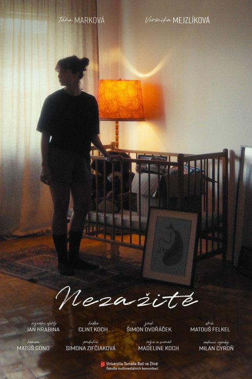 Movie poster for Nezažité (2025)
