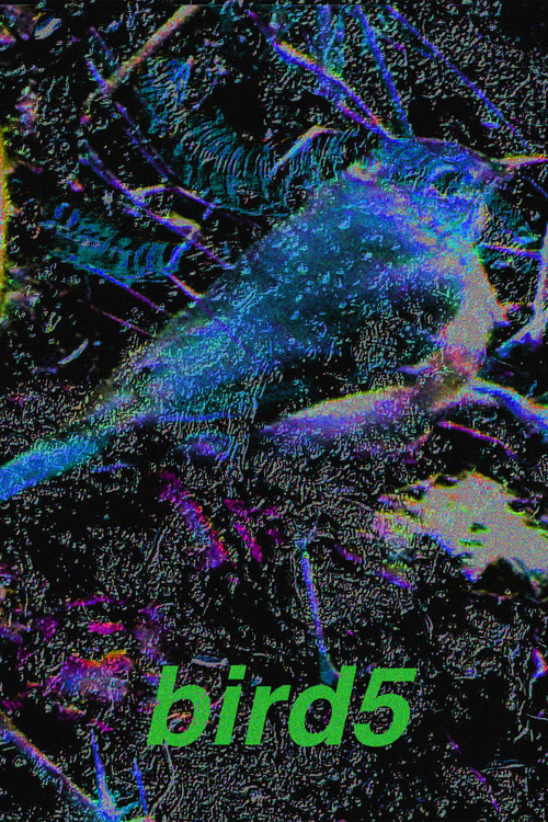 Movie poster for bird5.mp4 (2025)