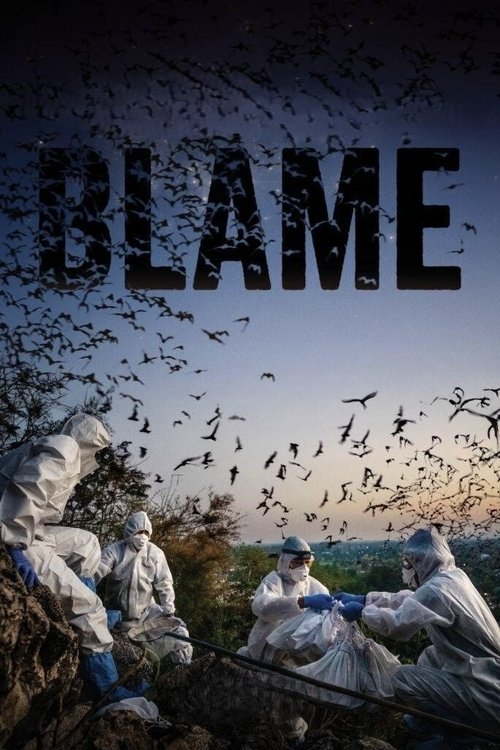 Movie poster for Blame (2026)