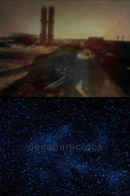 Movie poster for Desaparecidos (2020)