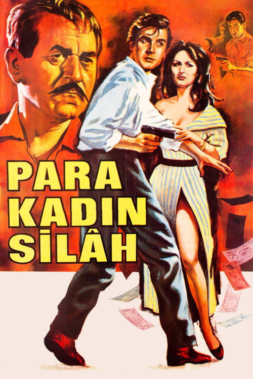 Movie poster for Para Kadın Silah (1966)