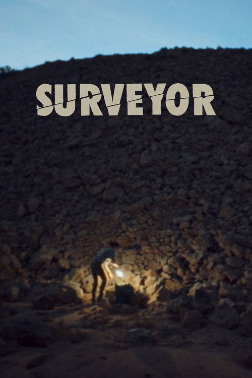 Movie poster for Surveyor