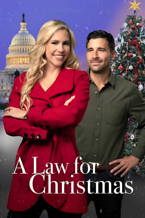 Movie poster for A Law for Christmas (2023)