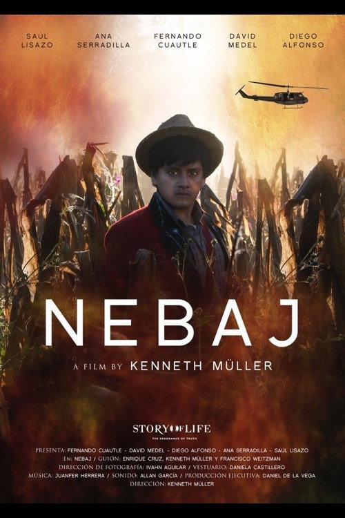 Movie poster for Nebaj (2019)