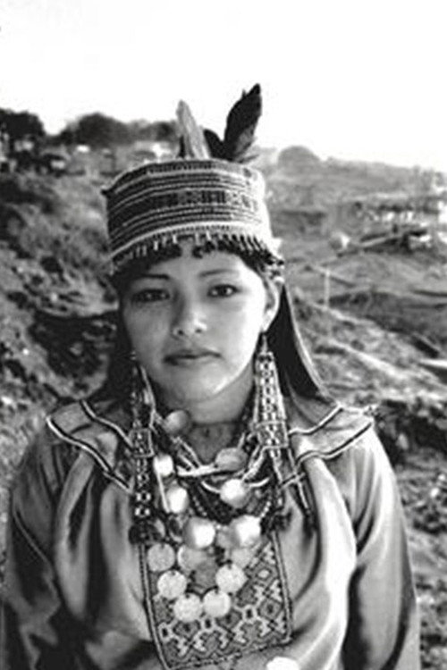 Movie poster for The Story of Panshin Beka (2006)