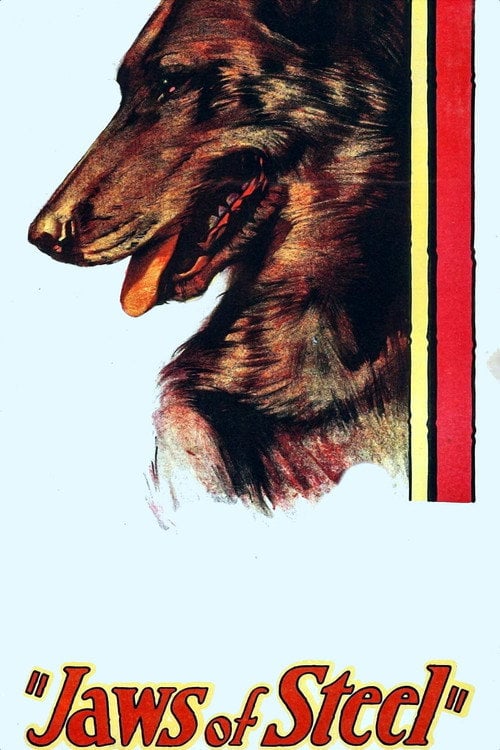 Movie poster for Jaws of Steel (1927)