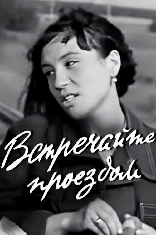 Meet Me While Passing Through poster