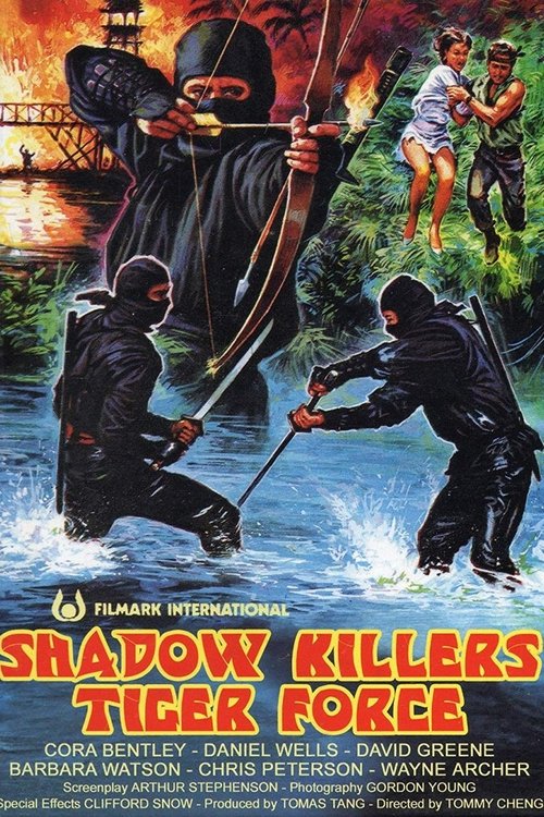 Movie poster for Shadow Killers Tiger Force (1989)