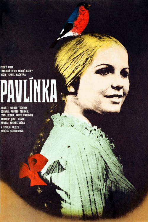 Movie poster for Pavlínka (1974)