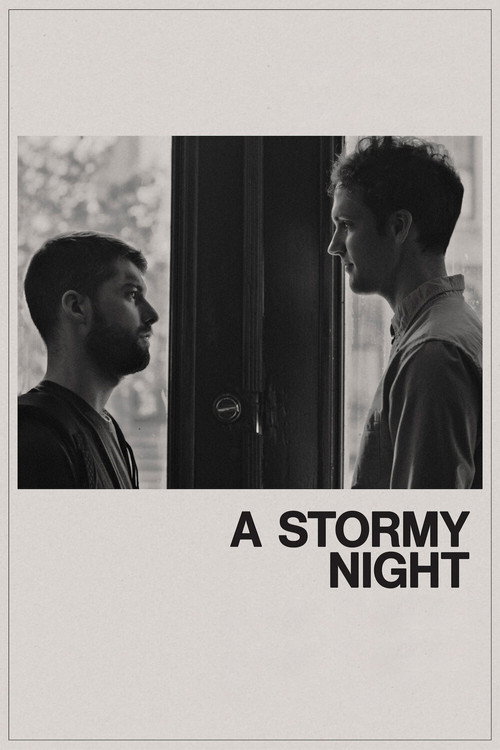 Movie poster for A Stormy Night (2020)