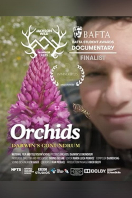 Movie poster for Orchids: Darwin's Conundrum (2025)
